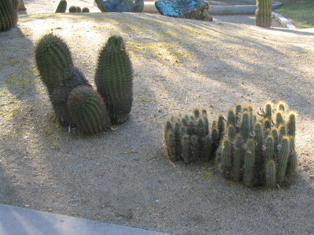 618x457 pixels (239K)